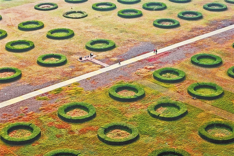 运河古粮仓洛阳回洛仓遗址（10月29日摄）。 付锐 摄