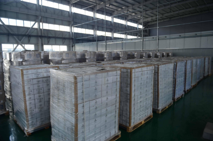 走进“中国—中东欧（沧州）中小企业合作区”③｜沧州中东欧公用型保税仓库：打造高效保税仓储，助力进出口企业跑出“加速度”