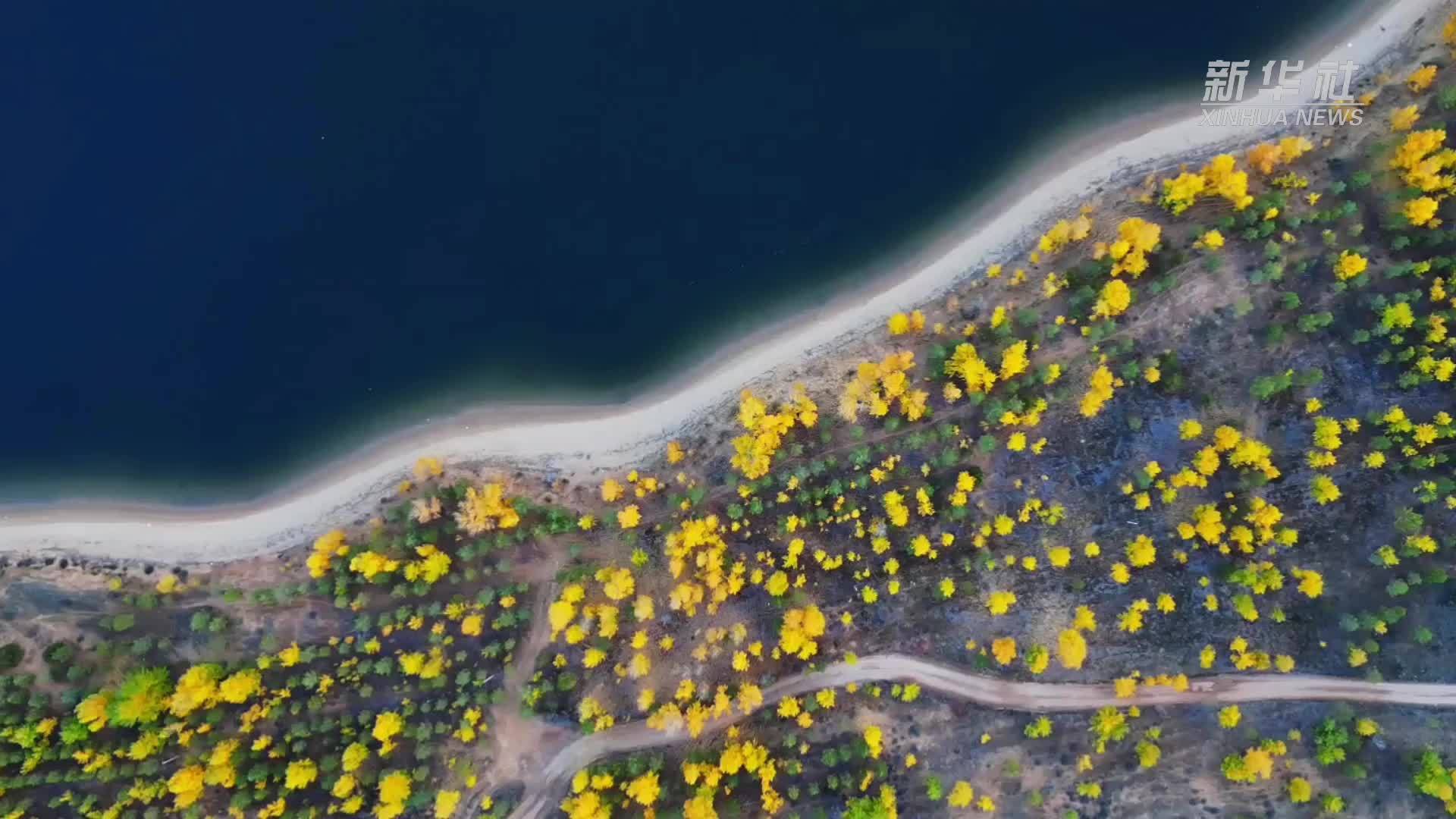 瞰中国｜内蒙古：四季乌审