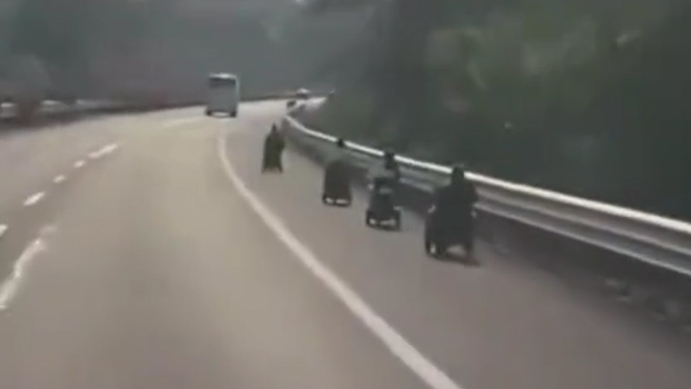 5名老人组团开电动轮椅高速狂飙？交警：误入，已教育并安全带离