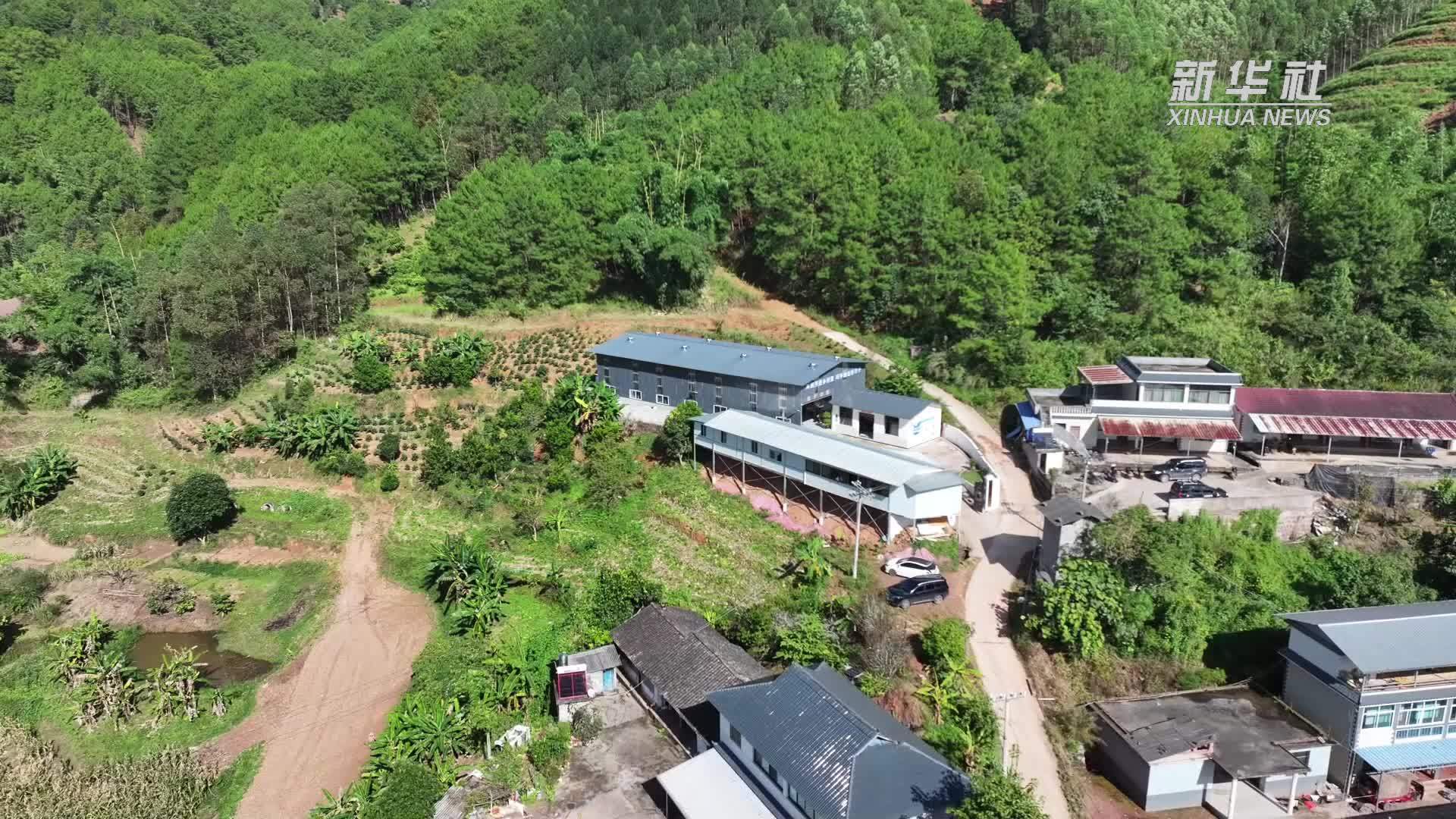 云南景谷：“凤还巢”筑梦乡村“小车间”织就振兴路