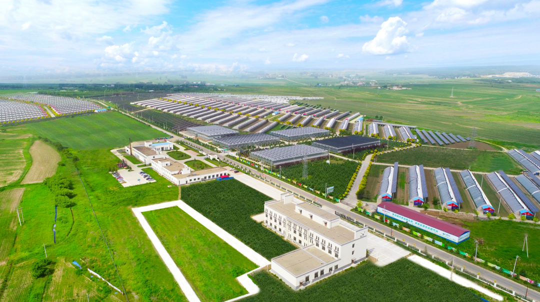国信现代农业产业园区。