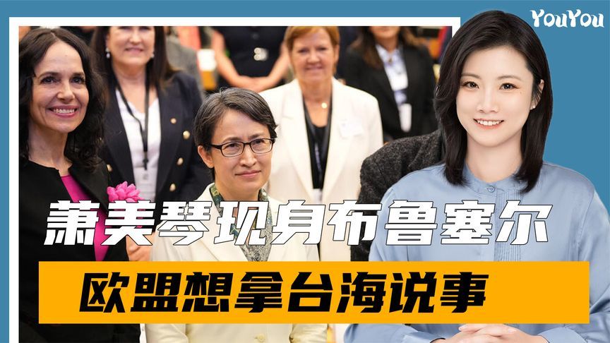 台专机抵欧，“台独”分子登上欧洲议会，中方4字概括怒火