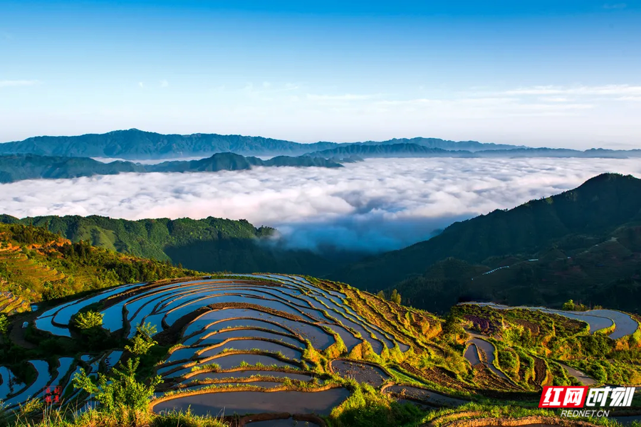 山背花瑶梯田。