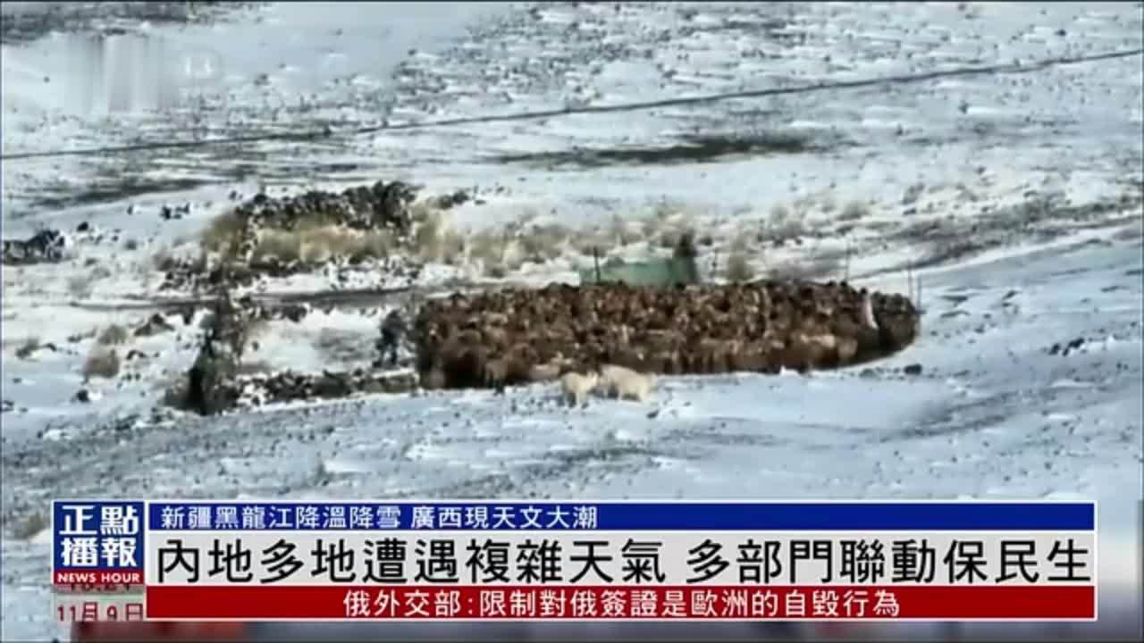 内地多地遭遇复杂天气 多部门联动保民生