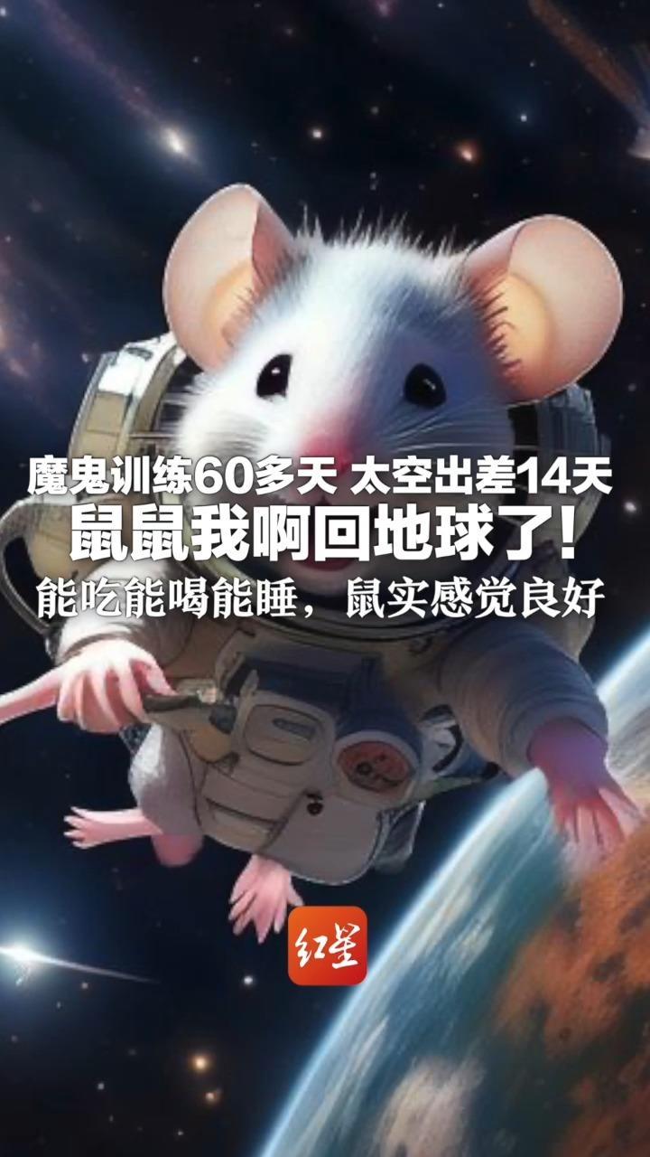 魔鬼训练60多天 太空出差14天 鼠鼠我啊回地球了！能吃能喝能睡，鼠实感觉良好