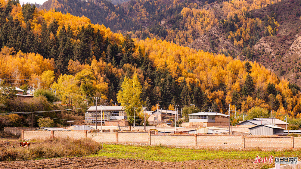 五彩山林似油画 洮河冬韵绘诗篇