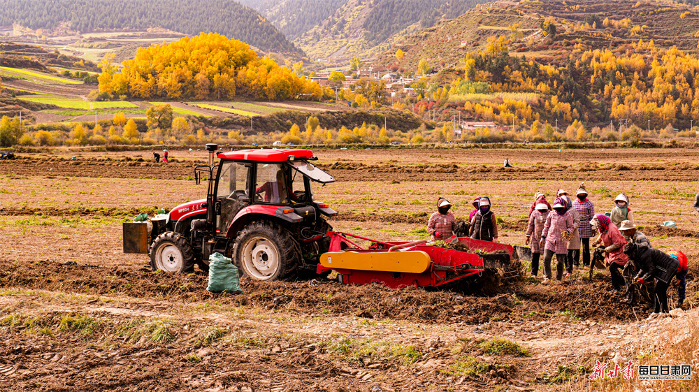五彩山林似油画 洮河冬韵绘诗篇