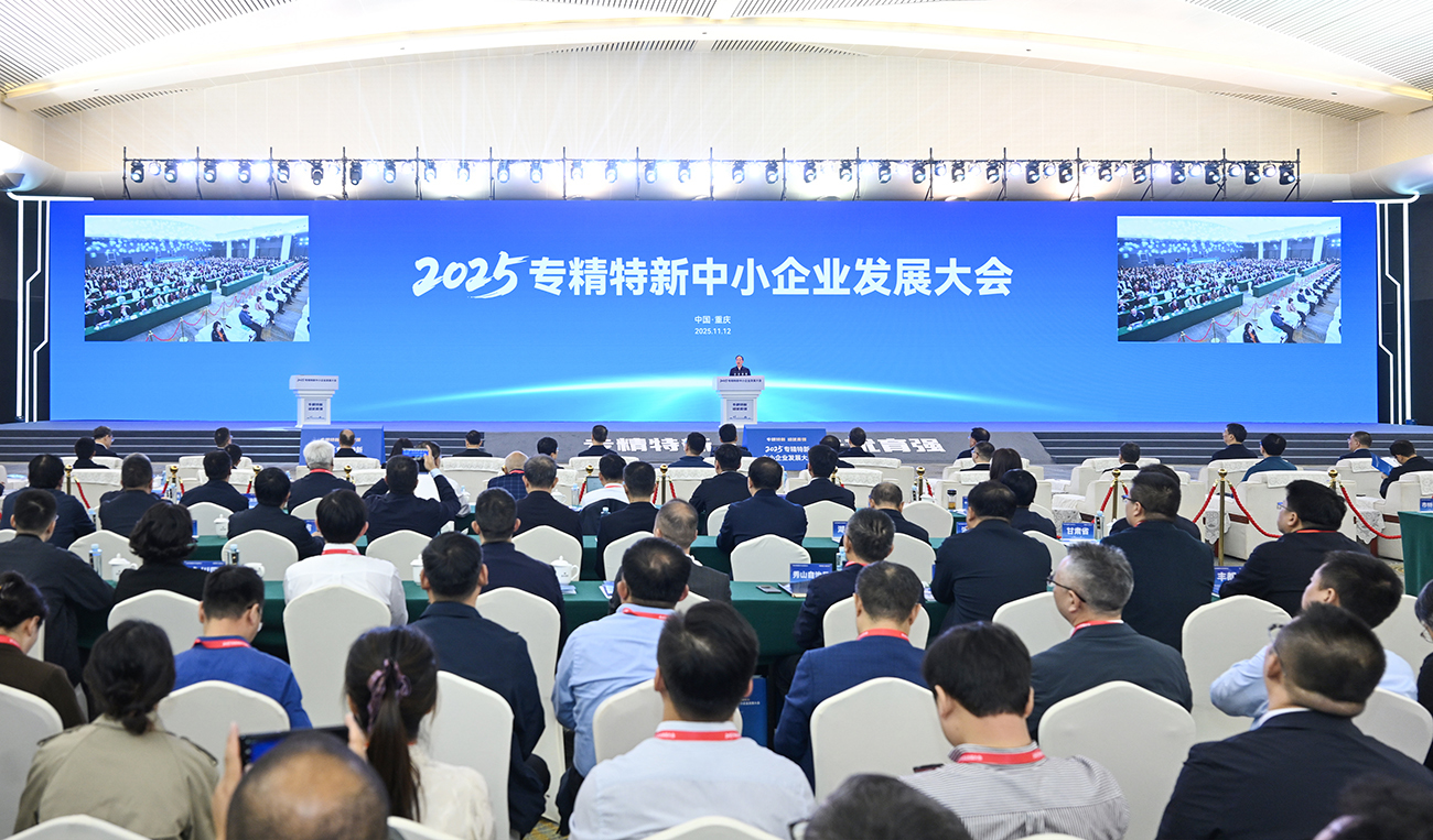 ▲11月12日上午,2025专精特新中小企业发展大会在重庆开幕。记者 苏思 摄/视觉重庆