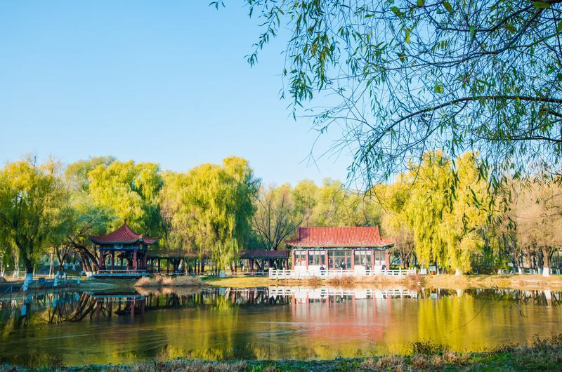 长春伊通河，冬意悄临，秋色未央