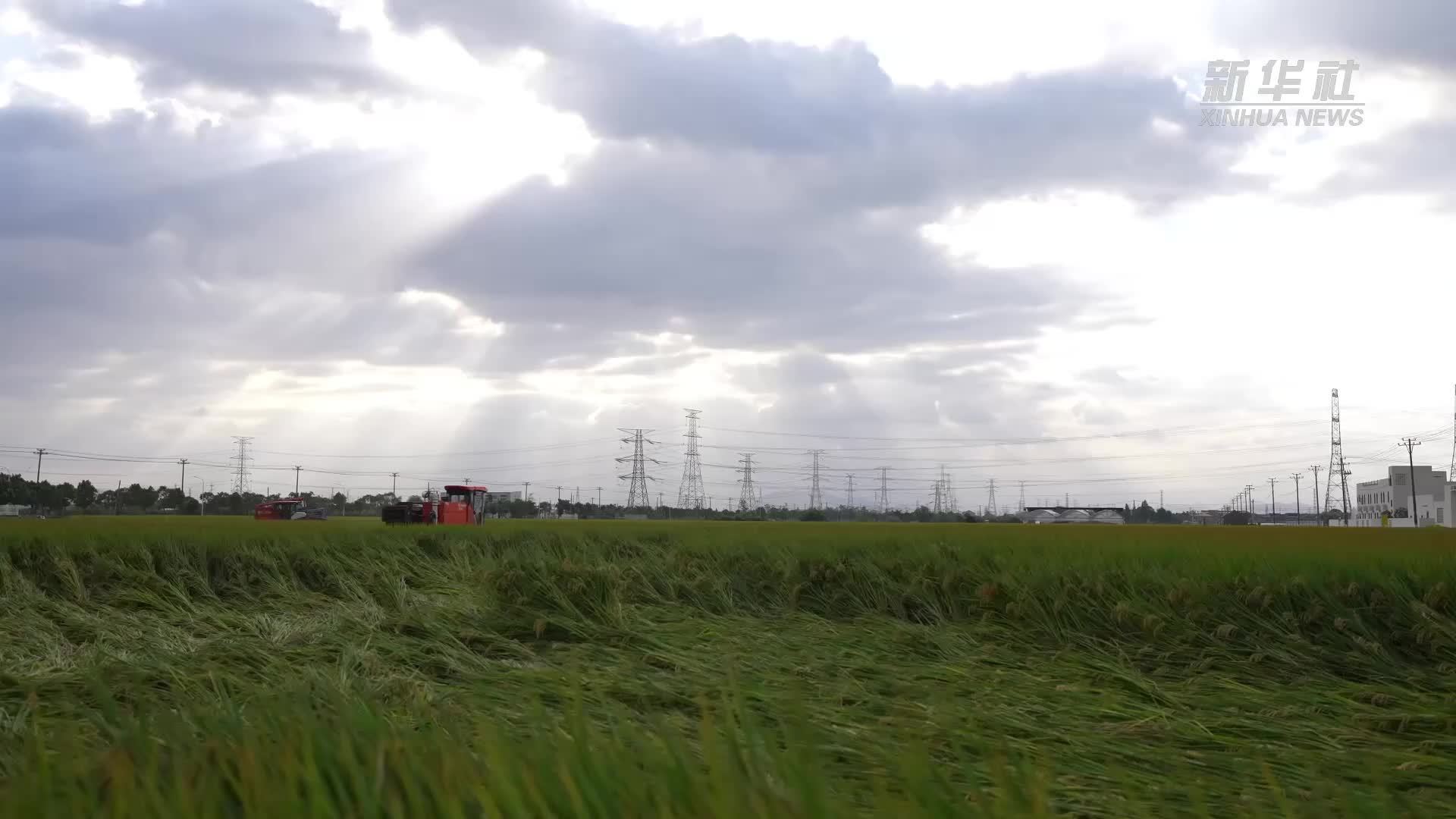 浙江宁波：共享能源点亮民生新图景