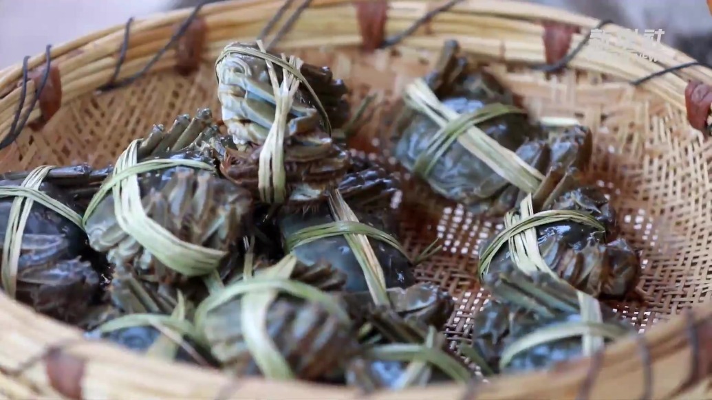 甘肃定西：黄土高原蟹满塘