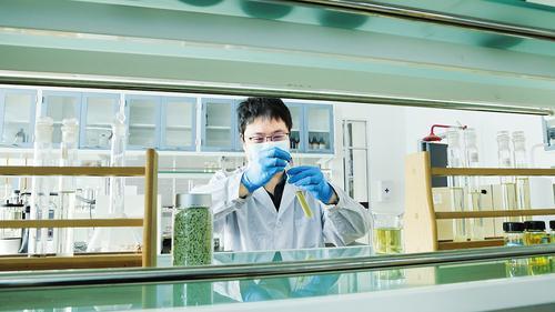 11月12日,沧州·渤海新区南开大学绿色化工研究院工作人员进行产品检测。高 宁摄
