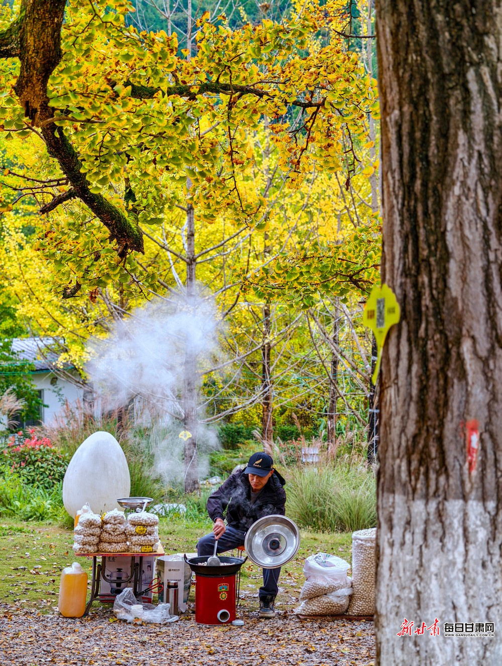 徽县嘉陵镇田河村千年古银杏飘香 重庆老摄影家协会主席 廖国伟 摄