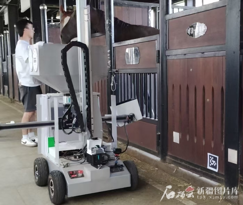 图为测试中，运动马精准饲喂机器人正在工作。杜雪梅 摄
