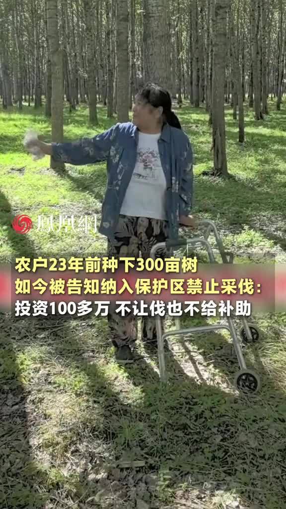 农户23年前种下300亩树，如今被告知纳入保护区禁止采伐：投资了100多万，不让伐树也不给补助 #黑龙江  #杨树  #保护环境  #环境  #社会