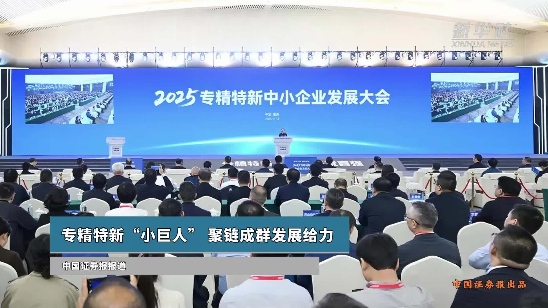 专精特新“小巨人”聚链成群发展给力