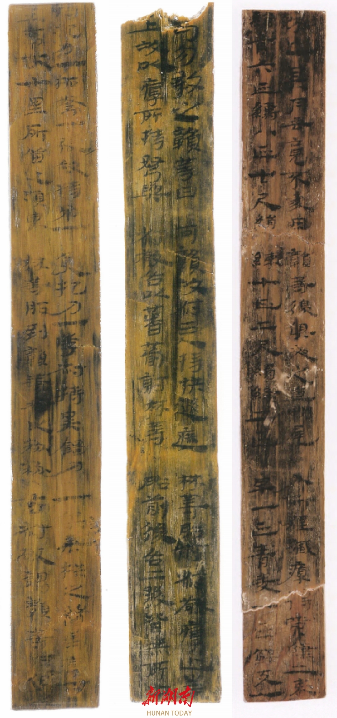 五一广场东汉简2010CWJ1③: 265-8、2010CWJ1③: 265-259、2010CWJ1③:261-88+263-187,出自赦、赣等人劫诗、林等案