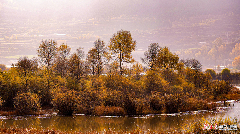 五彩山林似油画 洮河冬韵绘诗篇