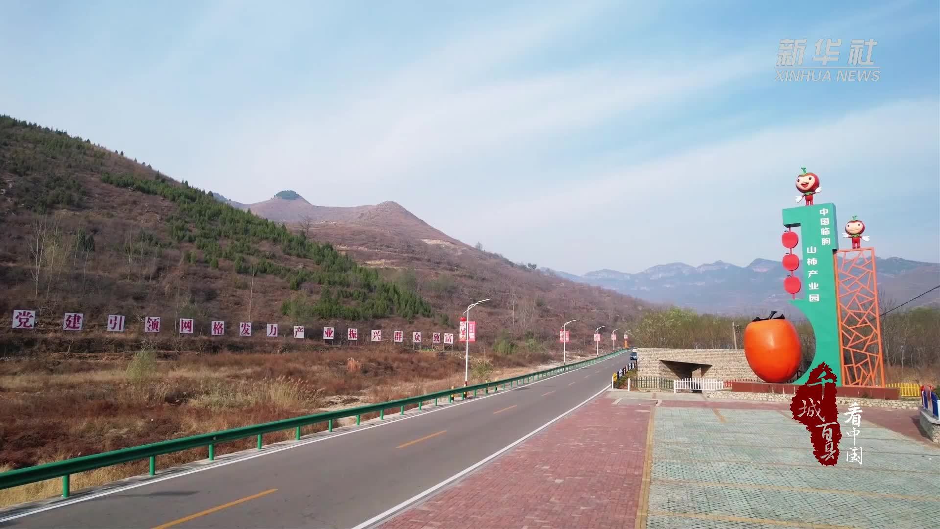 千城百县看中国｜山东潍坊：柿乡飘出共富路