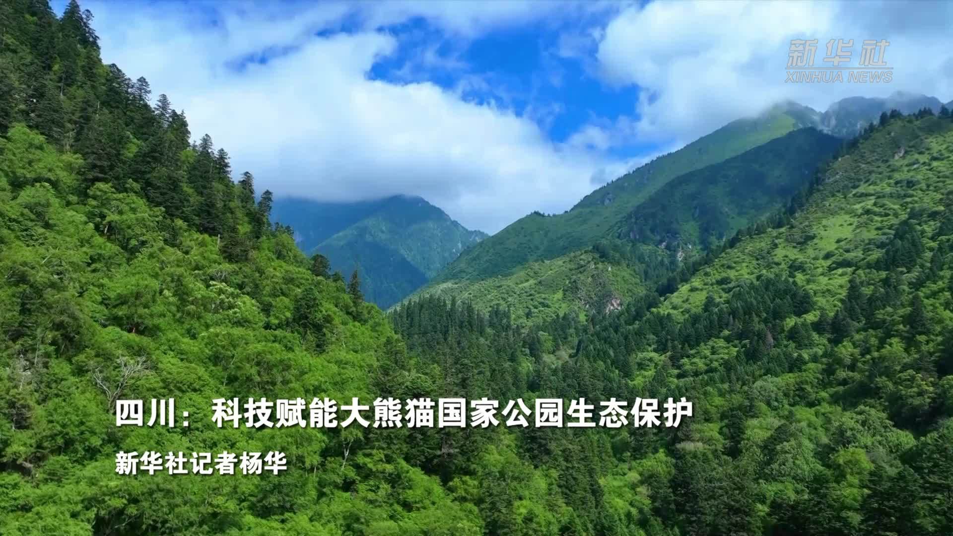 四川：科技赋能大熊猫国家公园生态保护