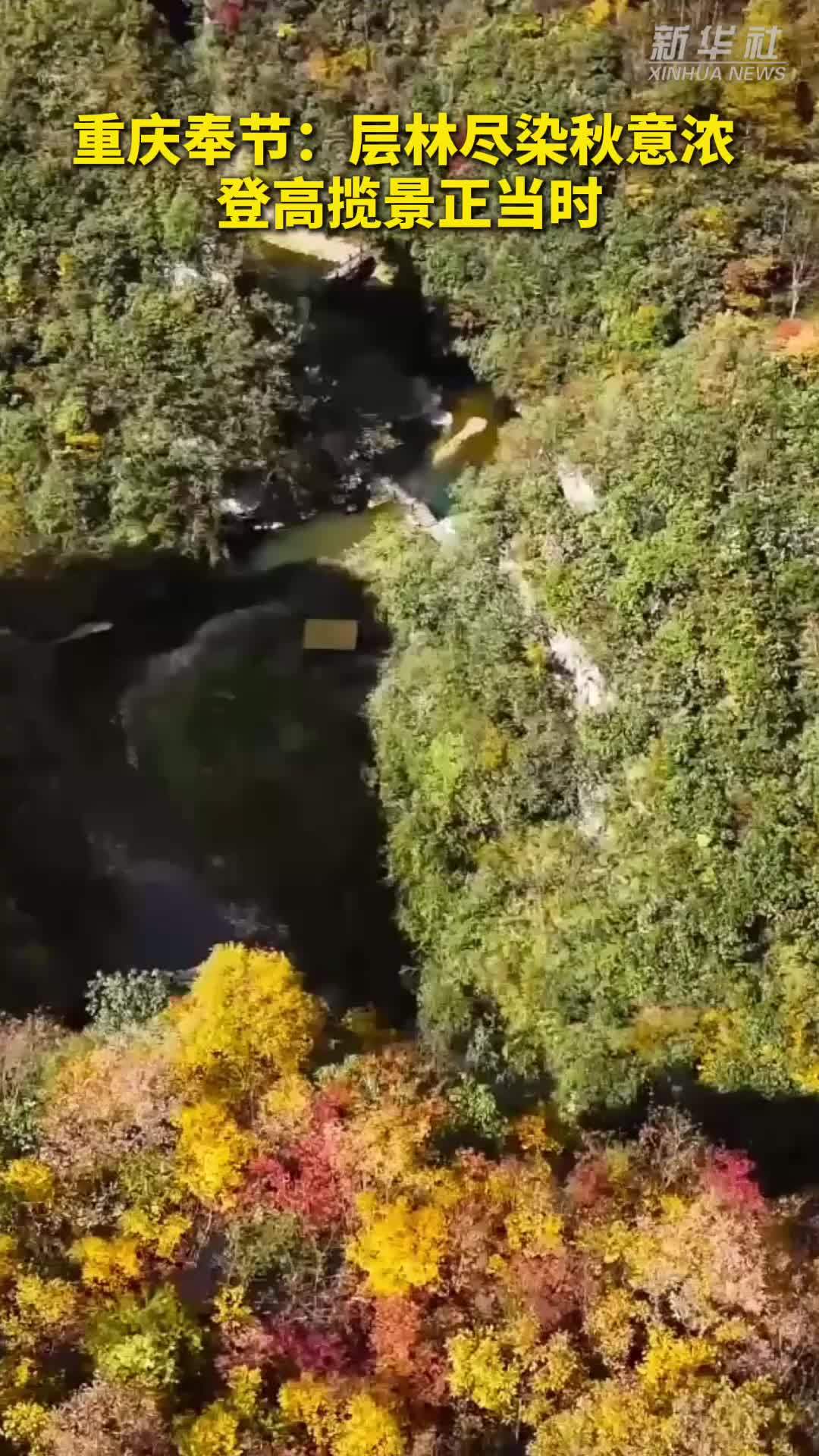 秀我中国｜重庆奉节：层林尽染秋意浓 登高揽景正当时