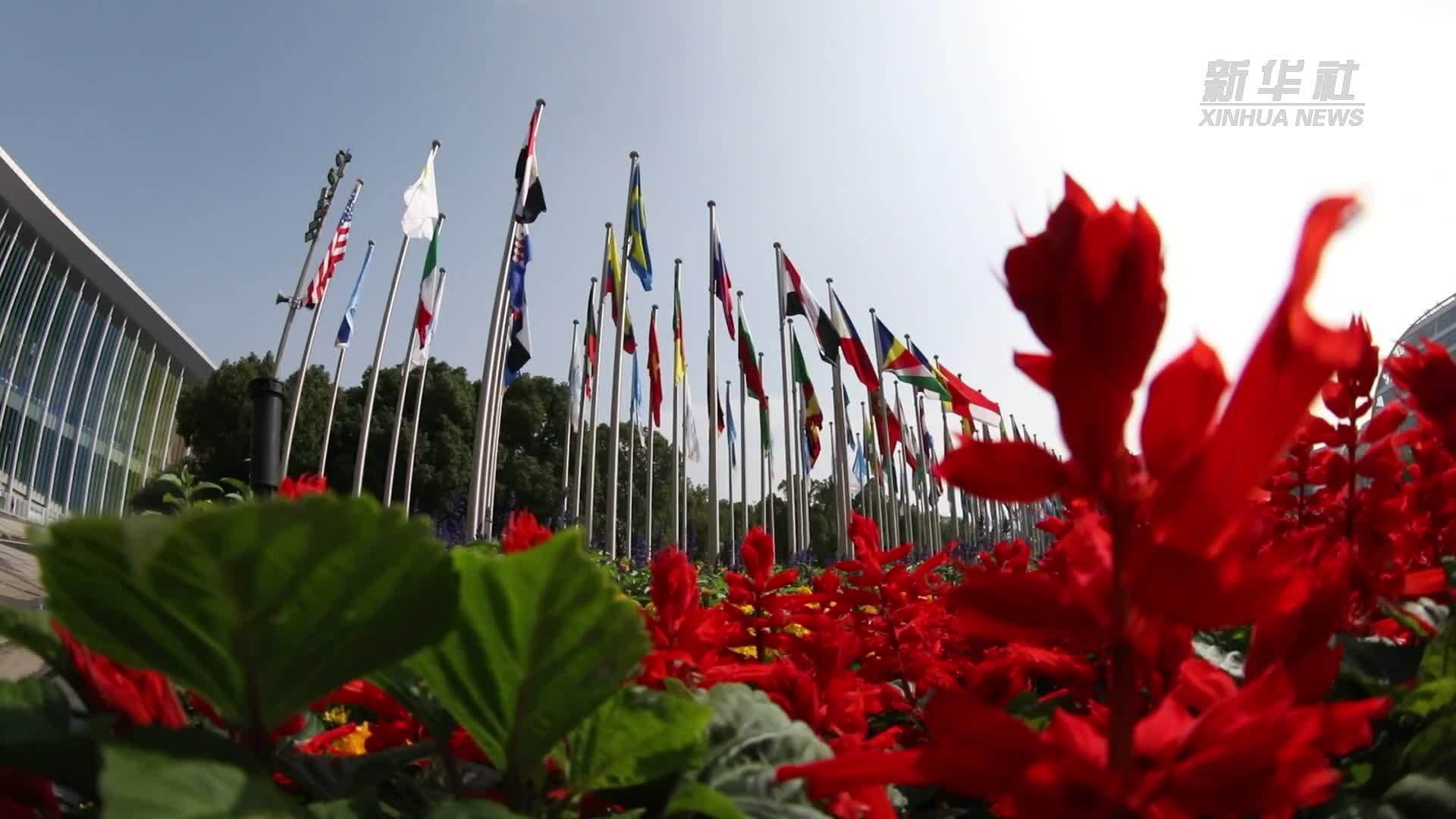 惠全球！进博会让世界共享中国机遇