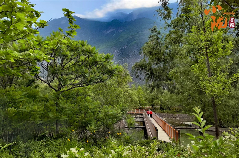 NBA升级版纪念礼惊艳进博会 看甘肃有啥不“遗”样