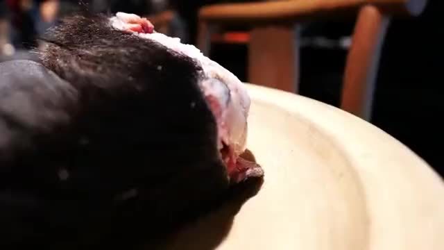 八珍之一的熊掌，见识一下日本的大厨怎么做美食，相当繁琐讲究