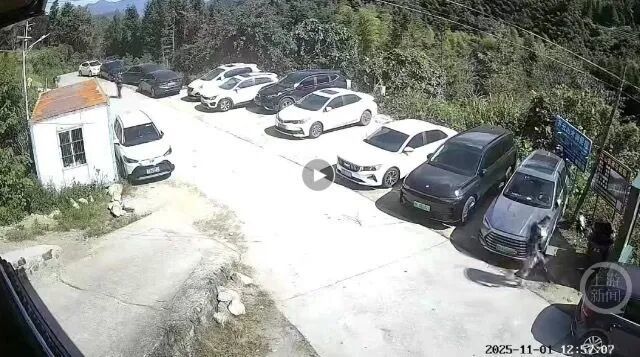 1日进山监控画面。受访者供图