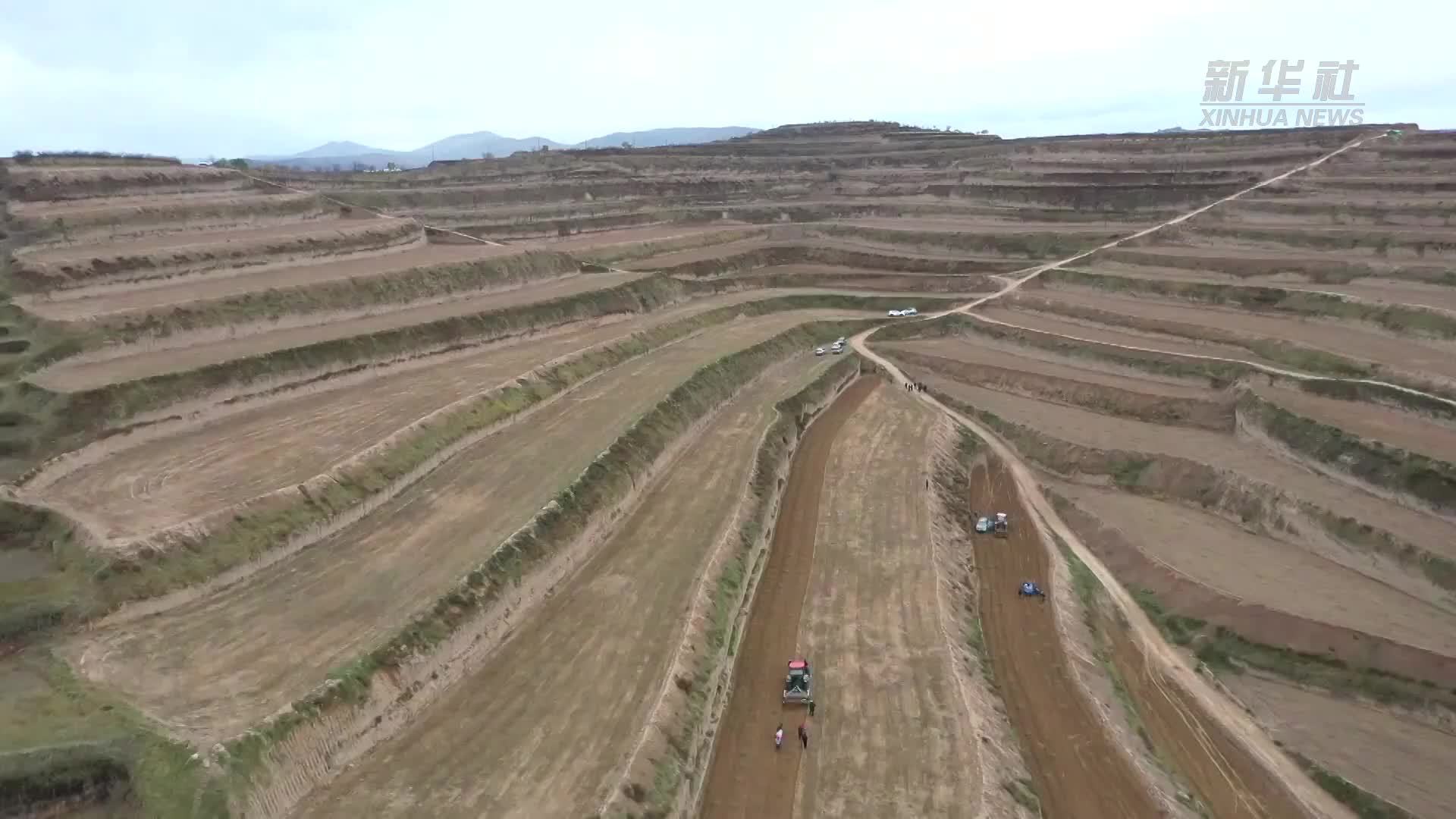 甘肃定西：药材飘香 富民强市