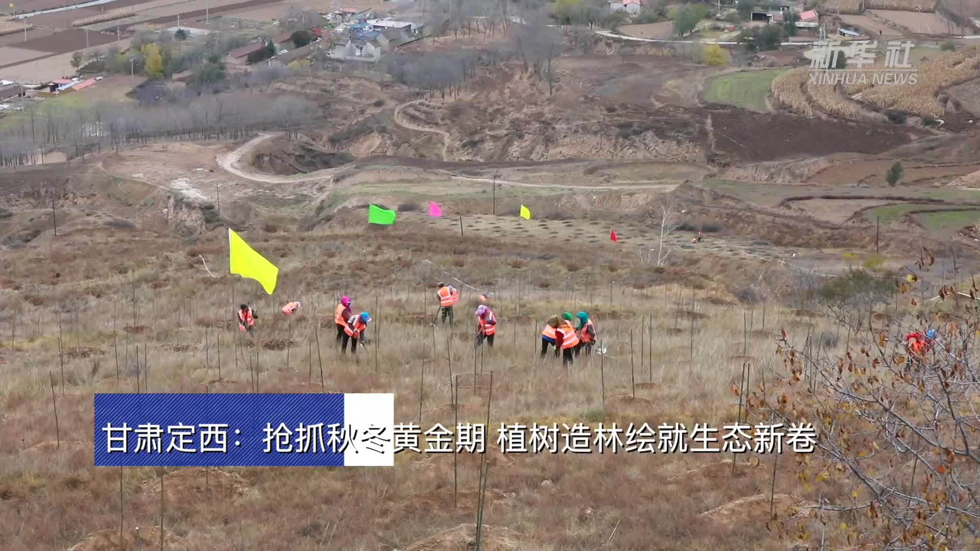 甘肃定西：抢抓秋冬黄金期 植树造林绘就生态新卷