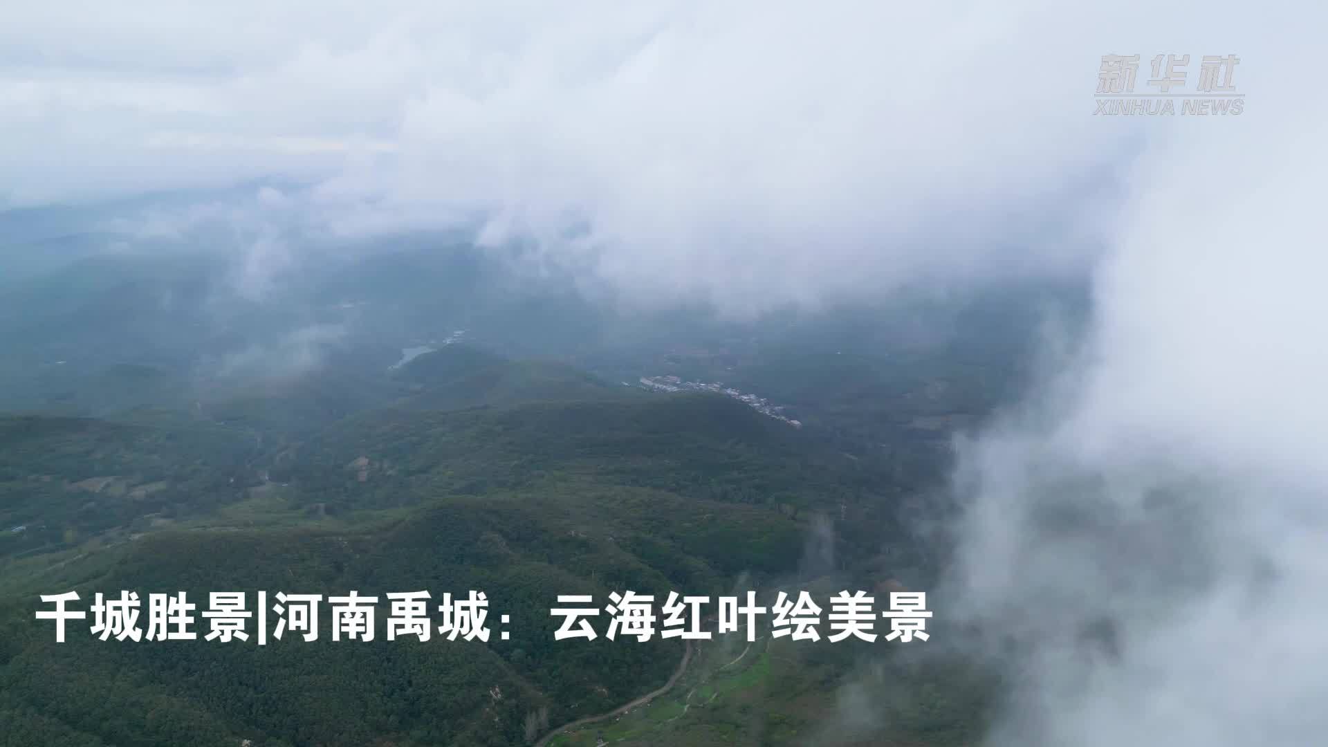 千城胜景｜河南禹州：云海红叶绘美景