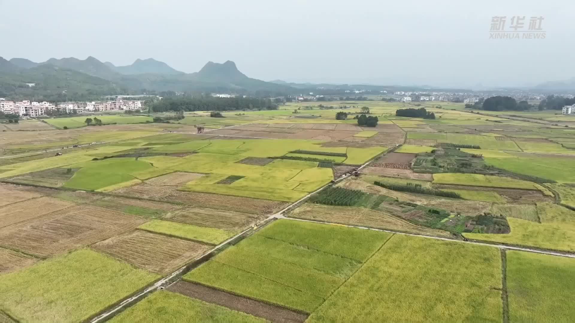 湖南宁远：以科技为支撑推动农业现代化