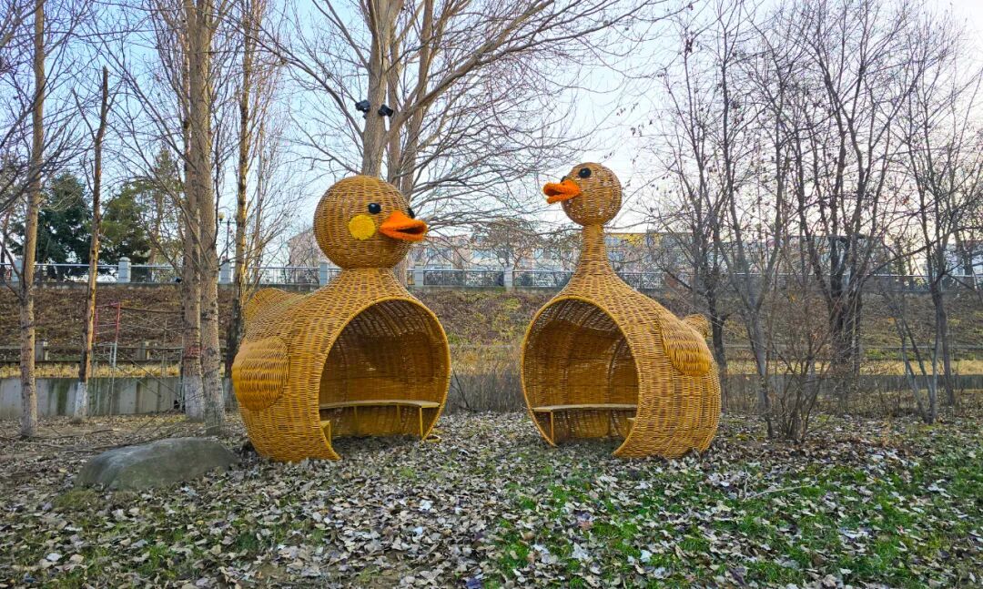 园内安装完成的宠物造型休息小屋。