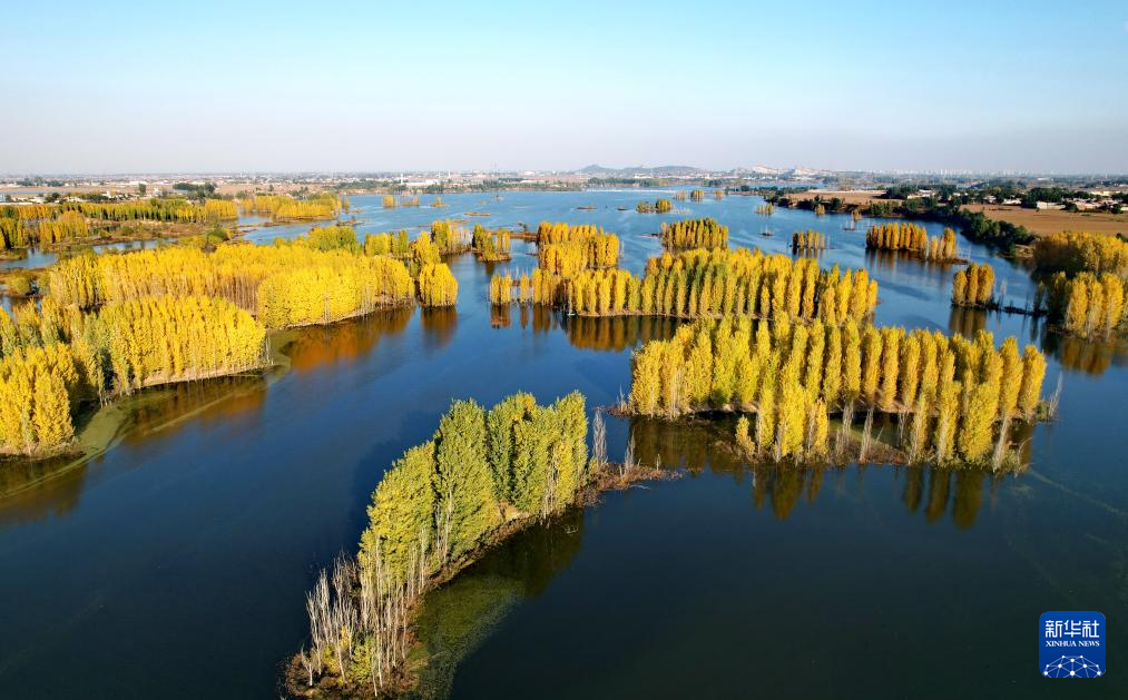 河北省邢台市隆尧县亦城村泜河风光(11月8日摄,无人机照片)。