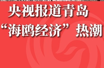 央视报道青岛“海鸥经济”热潮