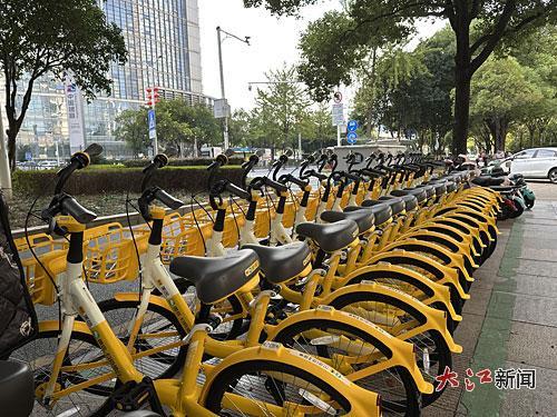 共享单车企业已经开始在红谷滩区陆续投放共享自行车。