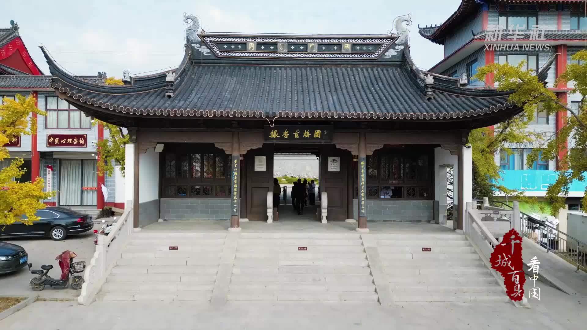 千城百县看中国｜山东郯城：三千年老神树迎最佳观赏期