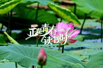 正是青春读书时|除济南和青岛外，你知道胶济铁路还经过哪些城市吗？