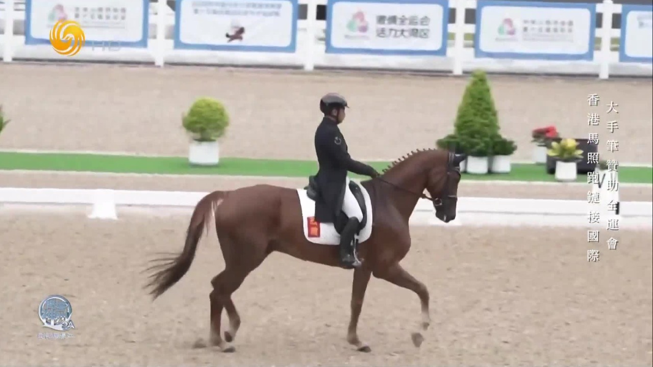 香港赛马会主席：支援深圳马术赛事，制度创新对粤港澳体育合作有示范作用