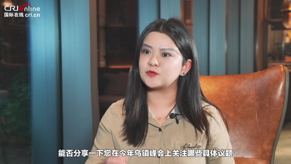 【国际微访谈】中国美国商会会长：中国人工智能全球领先 美中合作有利于国际AI法规准则制定