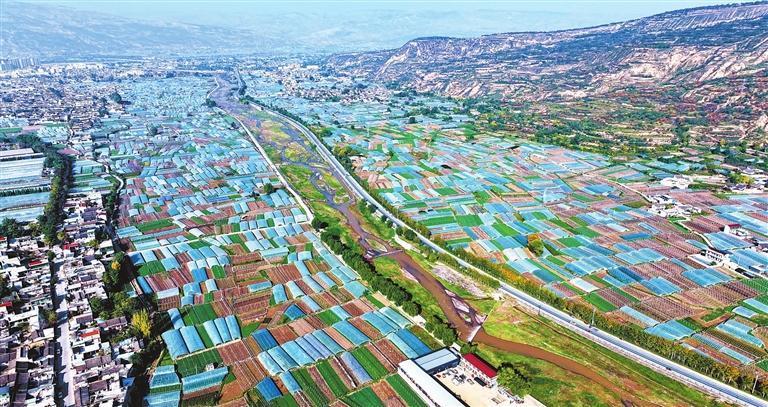 武山县洛门镇大南河流域的万亩设施蔬菜基地蔚为壮观。新甘肃&middot;甘肃日报通讯员　康正东