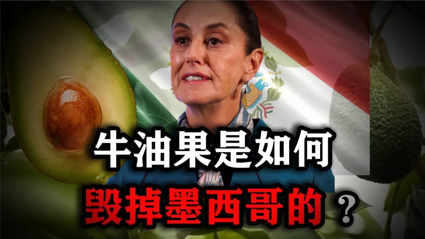 一颗小小的牛油果，如何毁掉一个国家？