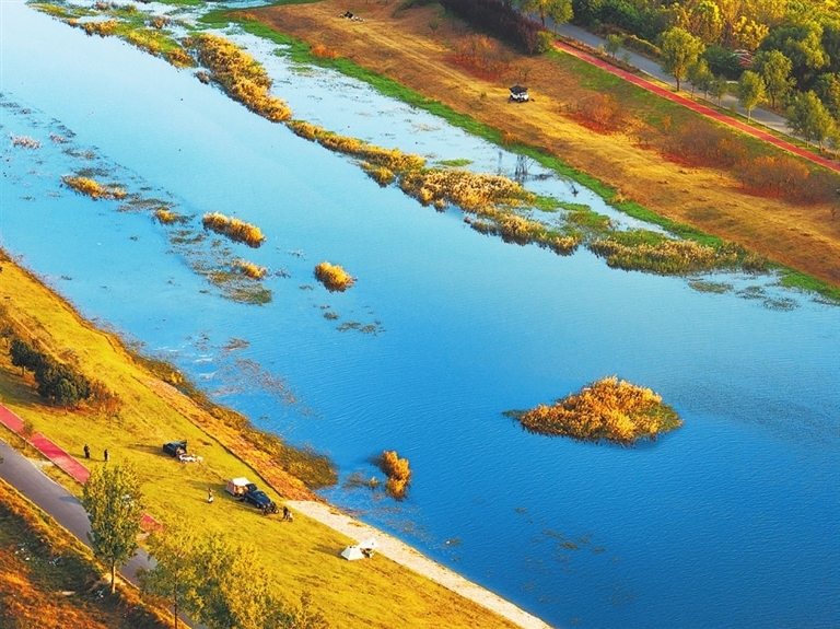 大运河郑州段索须河畔（11月2日摄）。 方恒 摄