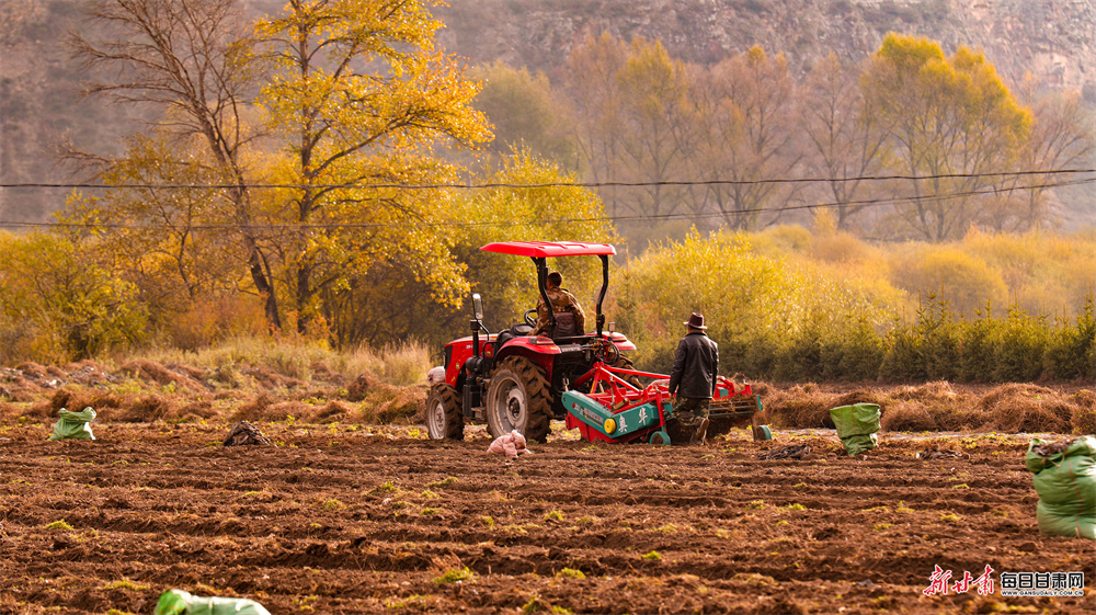 五彩山林似油画 洮河冬韵绘诗篇