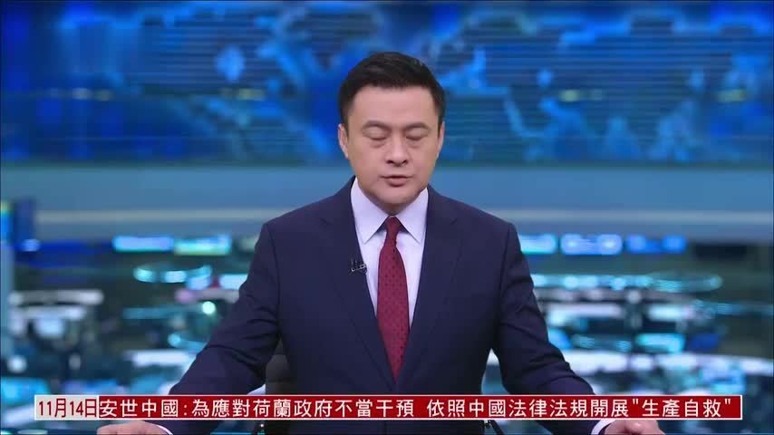 中国最高法发布案例 强化鸟类保护打击力度