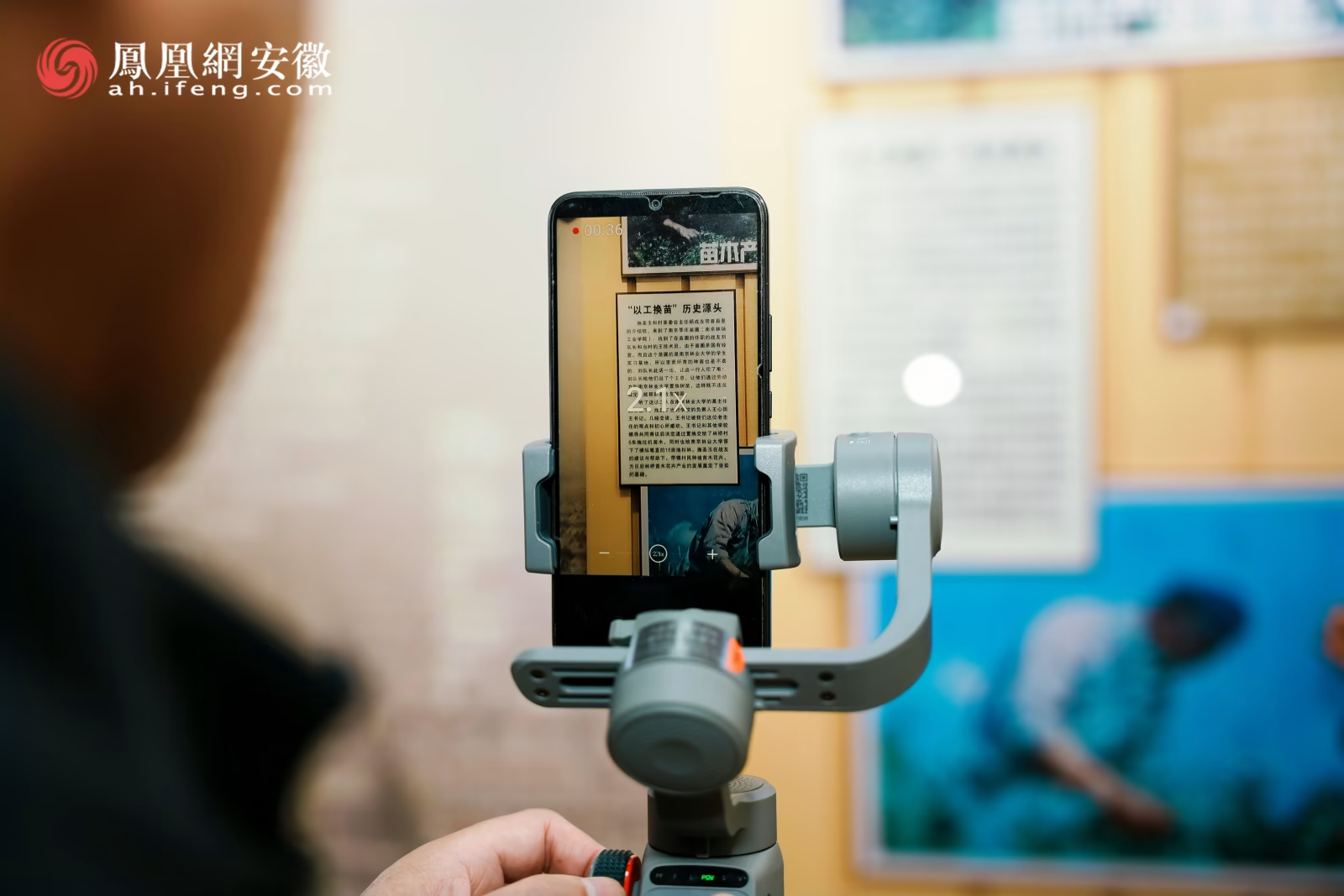 聚焦农文旅融合!“心悦来安・与V同行”采风活动圆满落幕,多维度展现来安新活力