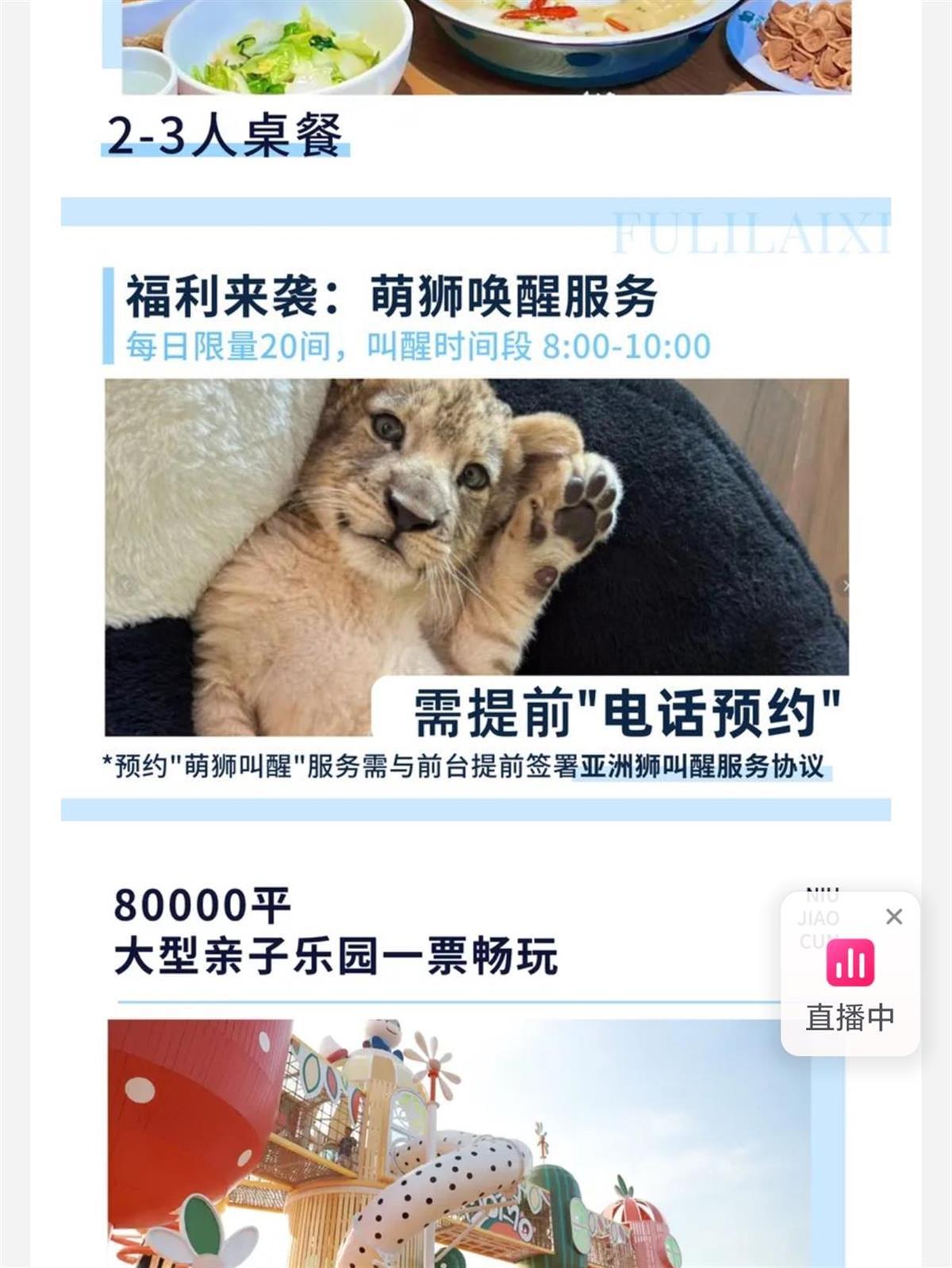 小狮子进酒店房间“叫醒服务” 628元一晚