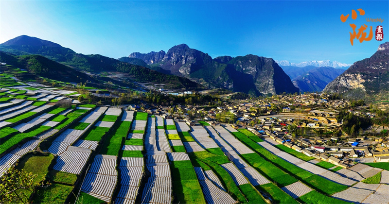 NBA升级版纪念礼惊艳进博会 看甘肃有啥不“遗”样